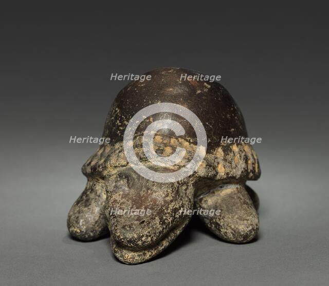 Turtle, before 1921. Creator: Unknown.