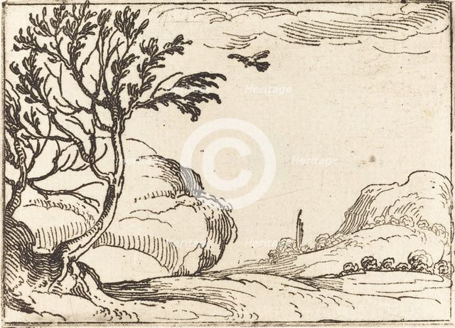 Turtle Dove Flying in the Desert. Creator: Jacques Callot.