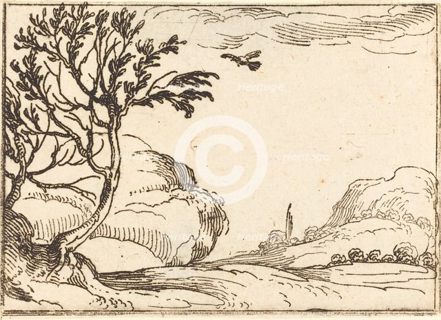 Turtle Dove Flying in the Desert. Creator: Jacques Callot.