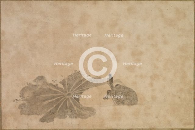 Turtle in a Lotus Pond, 18th century. Creator: Unknown.