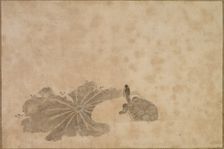 Turtle in a Lotus Pond, 18th century. Creator: Unknown