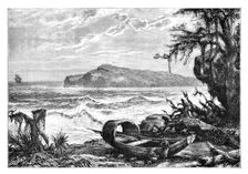 Turtle Island, view taken at the mouth of the Three Rivers c1890
