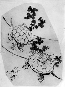 Turtles, 18th-19th century. Creator: Hokusai