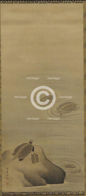 Turtles, Edo period, 18th century. Creator: Maruyama Okyo.