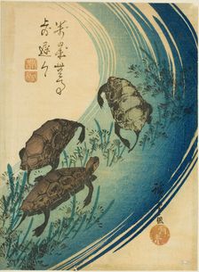 Turtles swimming in a stream, c. 1840. Creator: Ando Hiroshige