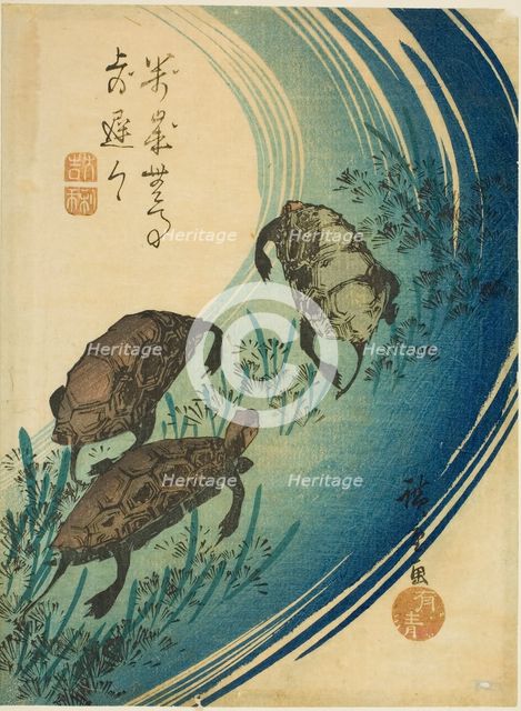Turtles swimming in a stream, c. 1840. Creator: Ando Hiroshige.