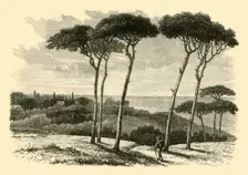 Tusculum 1890. Creator: Unknown