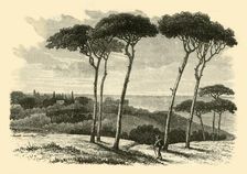 Tusculum 1890. Creator: Unknown