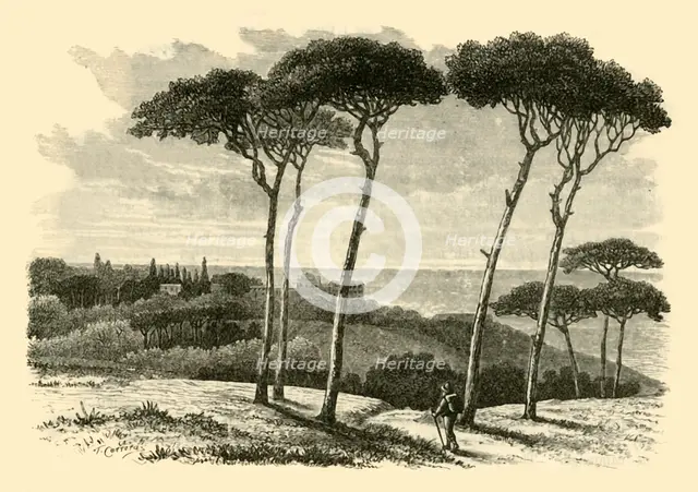 'Tusculum', 1890.   Creator: Unknown.