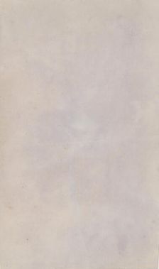 Tussilago Farfara, 1839. Creator: William Henry Fox Talbot