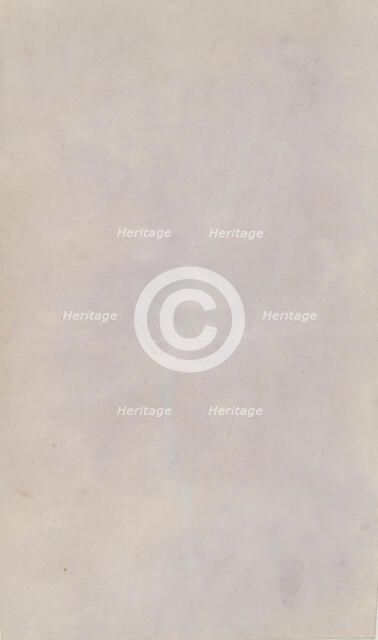 Tussilago Farfara, 1839. Creator: William Henry Fox Talbot.