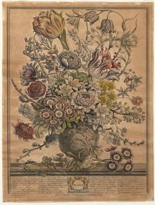 Twelve Months of Flowers: March, 1730. Creator: Henry Fletcher (British, active 1715-38)