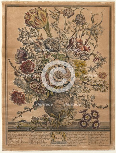 Twelve Months of Flowers: March, 1730. Creator: Henry Fletcher (British, active 1715-38).