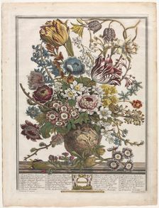 Twelve Months of Flowers: March, 1730. Creator: Henry Fletcher (British, active 1715-38)