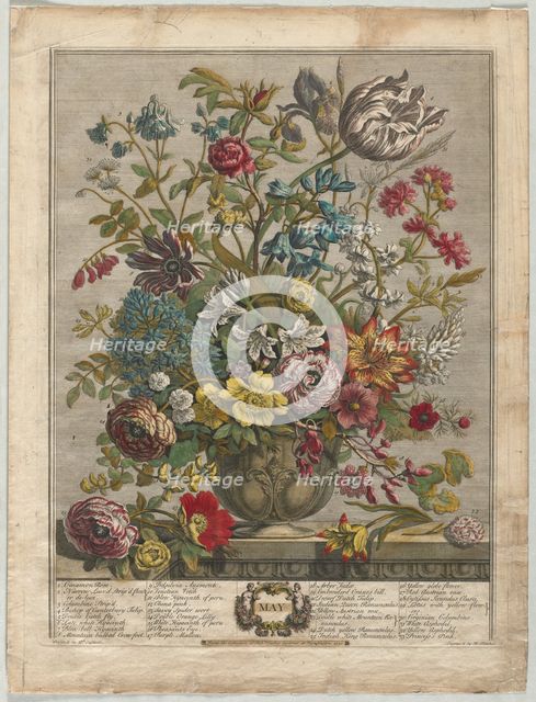 Twelve Months of Flowers: May, 1730. Creator: Henry Fletcher (British, active 1715-38).