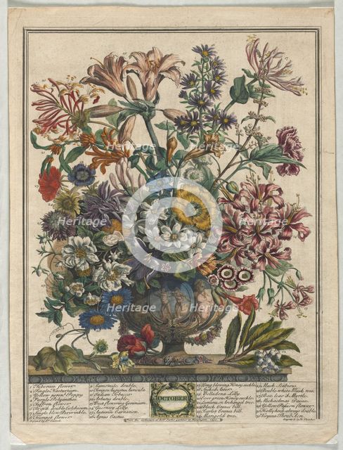Twelve Months of Flowers: October, 1730. Creator: Henry Fletcher (British, active 1715-38).