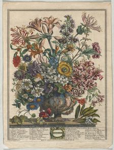 Twelve Months of Flowers: October, 1730. Creator: Henry Fletcher (British, active 1715-38)