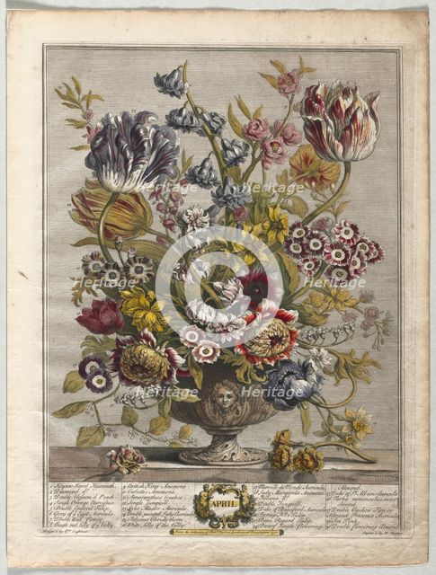 Twelve Months of Flowers: April, 1730. Creator: Henry Fletcher (British, active 1715-38).