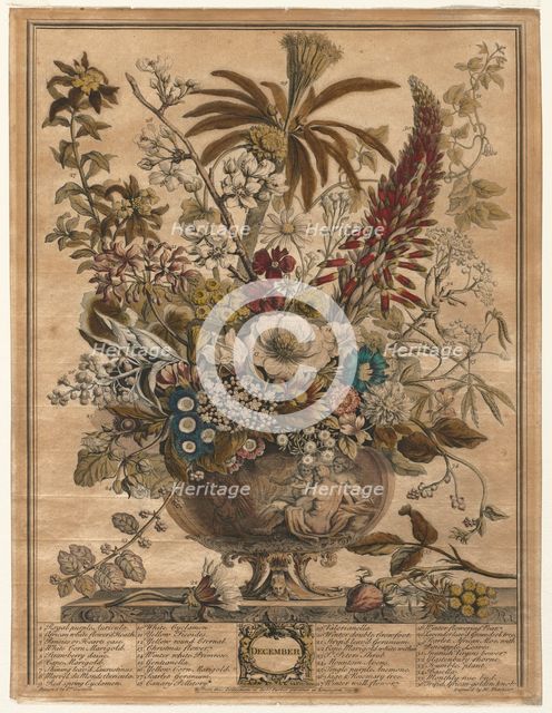 Twelve Months of Flowers: December, 1730. Creator: Henry Fletcher (British, active 1715-38).