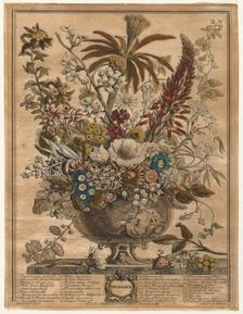 Twelve Months of Flowers: December, 1730. Creator: Henry Fletcher (British, active 1715-38)