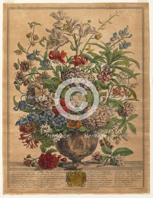 Twelve Months of Flowers: July, 1730. Creator: Henry Fletcher (British, active 1715-38).