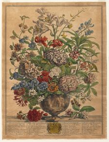 Twelve Months of Flowers: July, 1730. Creator: Henry Fletcher (British, active 1715-38)