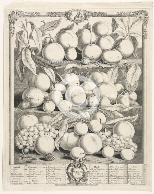 Twelve Months of Fruit: August, 1732. Creator: Henry Fletcher (British, active 1715-38).