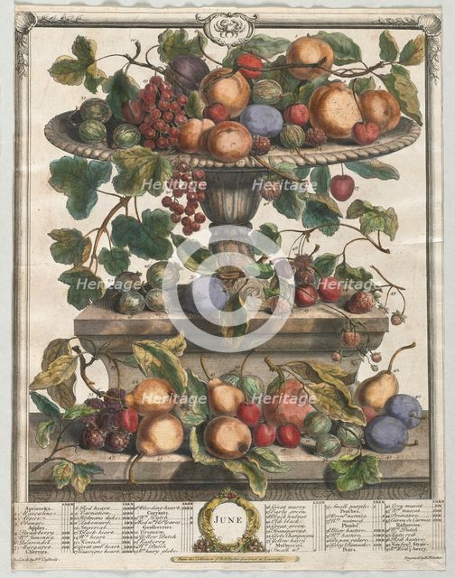 Twelve Months of Fruit: June, 1732. Creator: Henry Fletcher (British, active 1715-38).