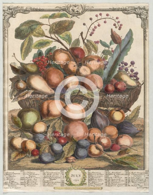 Twelve Months of Fruit: July, 1732. Creator: Henry Fletcher (British, active 1715-38).