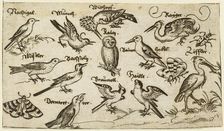 Twelve types of birds, including an owl and pelican, individually labelled and positioned..., 1572. Creator: Virgil Solis