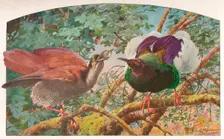 Twelve-wired Birds of Paradise c1910, (1911). Artist: Louis Fairfax Muckley