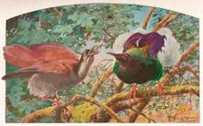 Twelve-wired Birds of Paradise c1910, (1911). Artist: Louis Fairfax Muckley