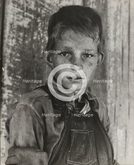 Twelve year old son of a cotton sharecropper near Cleveland, Mississippi, 1937. Creator: Dorothea Lange.