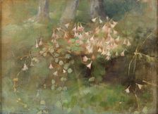 Twinflowers, 1886. Creator: Schjerfbeck, Helene (1862-1946)