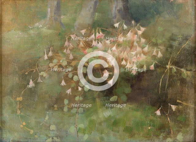 Twinflowers, 1886. Creator: Schjerfbeck, Helene (1862-1946).