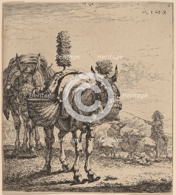 Two Mules. Creator: Karel Du Jardin.