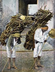 Two men carrying bundles of wood on their backs, Mexico, early 20th century