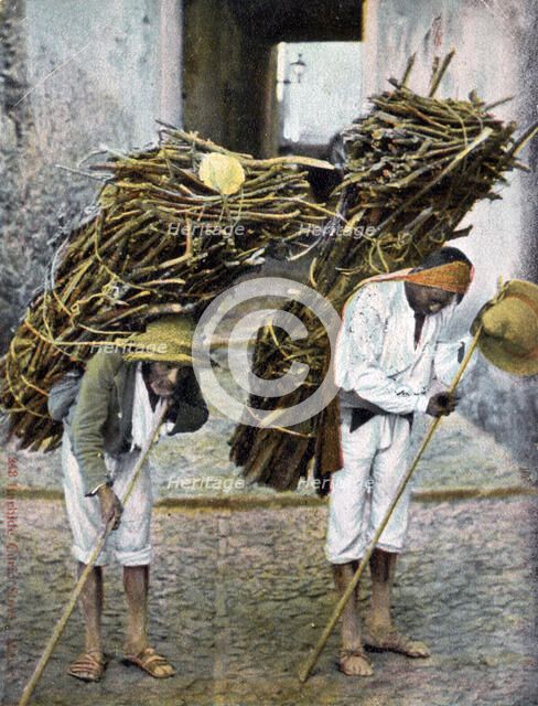 Two men carrying bundles of wood on their backs, Mexico, early 20th century. Artist: Unknown