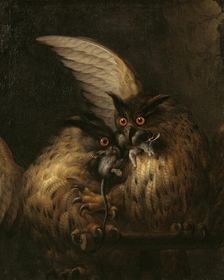 Two Owls Fighting over a Rat, late 17th-early 18th century. Creator: Hans Georg Muller