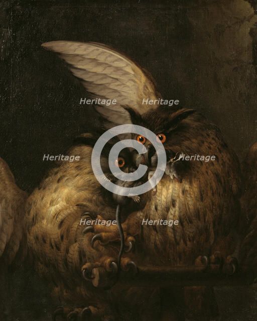 Two Owls Fighting over a Rat, late 17th-early 18th century. Creator: Hans Georg Muller.