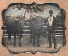 Two Oxen and Driver, 1850s. Creator: Unidentified Photographer
