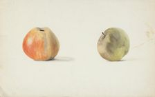 Two apples, late 19th century or first half of 20th century. Creator: Agnes Mary Webster