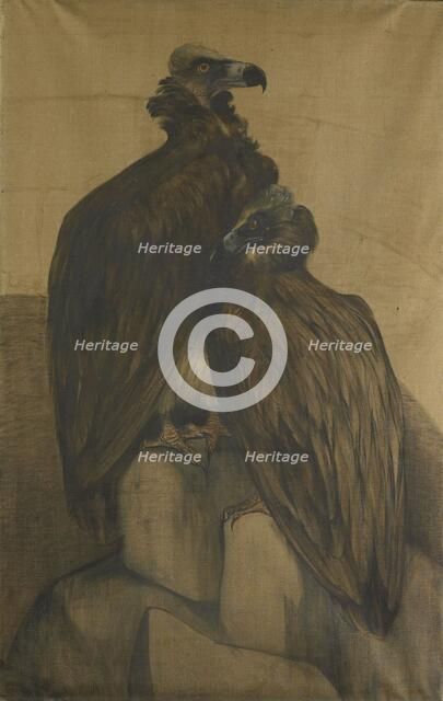 Two Arabian Vultures, 1885-1917. Creator: Theo van Hoytema.