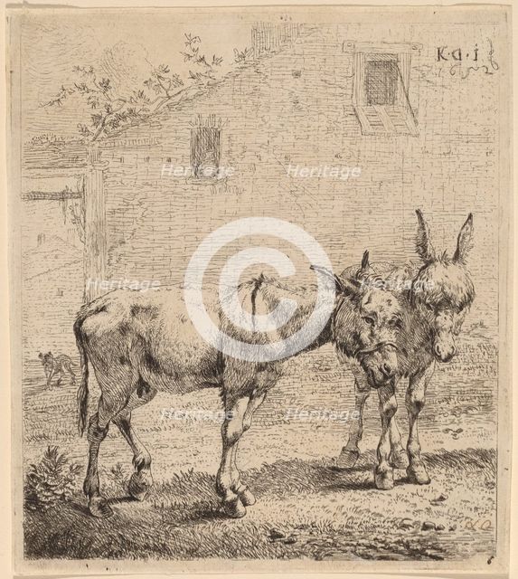 Two Asses, 1652. Creator: Karel Du Jardin.