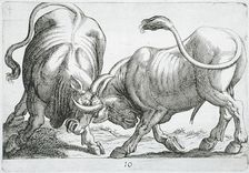 Two Bulls Fighting, 1610. Creator: Hendrick Hondius I