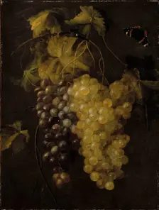 Two bunches of grapes, 1658-1670. Creator: Thomas van Paep