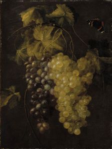 Two bunches of grapes, 1658-1670. Creator: Thomas van Paep