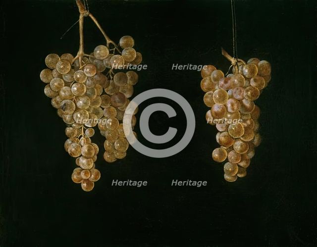 Two Bunches of Grapes with a Fly, 1630-1644. Creator: Miguel de Pret.