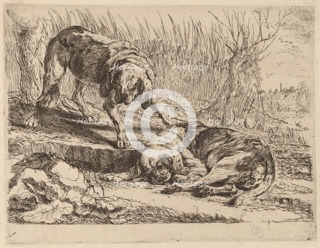 Two Beagles, One Sleeping, probably c. 1640/1642. Creator: Jan Fyt.