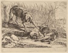 Two Beagles, One Sleeping, probably c. 1640/1642. Creator: Jan Fyt